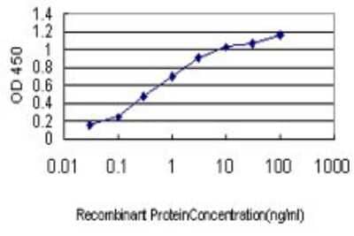 Sandwich ELISA: Bub1 Antibody (4C3-4C9) [H00000699-M01] - Detection limit for recombinant GST tagged BUB1 is approximately 0.03ng/ml as a capture antibody.