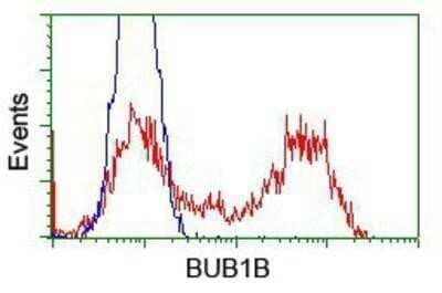 Flow Cytometry: BubR1 Antibody (OTI6E5) - Azide and BSA Free [NBP2-70314] - HEK293T cells transfected with either pCMV6-ENTRY BubR1.(Red) or empty vector control plasmid (Blue) were immunostaining with anti-BubR1 mouse monoclonal, and then analyzed by flow cytometry.