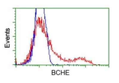 Flow Cytometry: Butyrylcholinesterase/BCHE Antibody (OTI1E1) [NBP2-66381] - HEK293T cells transfected with either RC202198 overexpress plasmid(Red) or empty vector control plasmid(Blue) were immunostained by anti-BCHE antibody, and then analyzed by flow cytometry.