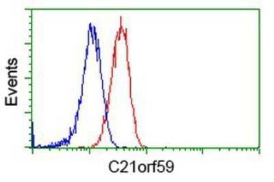 Flow Cytometry: C21orf59 Antibody (OTI2H5) - Azide and BSA Free [NBP2-72060] - Analysis of Jurkat cells, using anti-C21orf59 antibody, (Red), compared to a nonspecific negative control antibody (Blue).