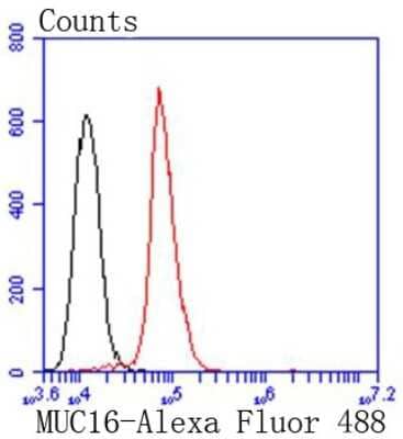 Flow Cytometry: CA125/MUC16 Antibody (SN0715) [NBP2-67708] - Analysis of Hela cells with MUC16 antibody at 1/50 dilution (red) compared with an unlabelled control (cells without incubation with primary antibody; black). Alexa Fluor 488-conjugated goat anti rabbit IgG was used as the secondary antibody