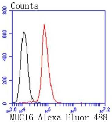Flow Cytometry: CA125/MUC16 Antibody (SN69-06) [NBP2-67709] - Analysis of Hela cells with MUC16 antibody at 1/50 dilution (red) compared with an unlabelled control (cells without incubation with primary antibody; black). Alexa Fluor 488-conjugated goat anti rabbit IgG was used as the secondary antibody