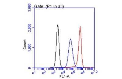 Flow Cytometry: CA19-9/Sialyl Lewis A Antibody (GT174) [NBP3-13649] - CA19-9/Sialyl Lewis A antibody [GT174] (NBP3-13649) detects CA19-9/Sialyl Lewis A by flow cytometry analysis. Sample: COLO 205 cell. Black: Unlabelled sample was used as a control. Red: CA19-9/Sialyl Lewis A antibody [GT174] (NBP3-13649) dilution: 1:50. Blue: Highly cited antibody [116-NS-19-9] dilution: 1:50. Acquisition of 20,000 events were collected for FACS analysis.