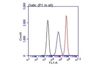Flow Cytometry: CA19-9/Sialyl Lewis A Antibody (GT252) [NBP3-13651] - CA19-9/Sialyl Lewis A antibody [GT252] (NBP3-13651) detects CA19-9/Sialyl Lewis A by flow cytometry analysis. Sample: COLO 205 cell. Black: Unlabelled sample was used as a control. Red: CA19-9/Sialyl Lewis A antibody [GT252] (NBP3-13651) dilution: 1:50. Blue: Highly cited antibody [116-NS-19-9] dilution: 1:50. Acquisition of 20,000 events were collected for FACS analysis.