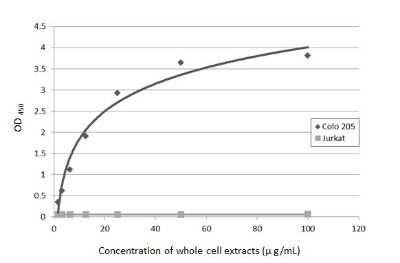 Sandwich ELISA: CA19-9/Sialyl Lewis A Antibody (GT8510) [NBP3-13652] - Sandwich ELISA detection of Colo 205 and Jurkat whole cell extracts using CA19-9/Sialyl Lewis A antibody [GT174] (NBP3-13649) as capture antibody at concentration of 5 ug/mL and HRP-conjugated Ca19-9 antibody [GT8510] (NBP3-13652) as detection antibody at concentration of 1 ug/mL. Please notice that NBP3-13652 needs to be conjugated to HRP to function as the detection antibody when paired with NBP3-13649. Please contact us for custom HRP-conjugated antibody.