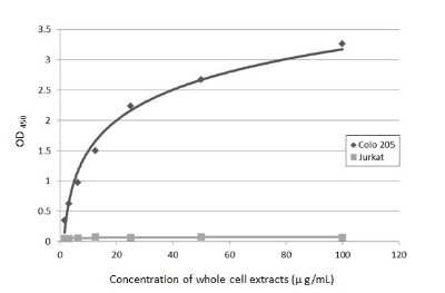 Sandwich ELISA: CA19-9/Sialyl Lewis A Antibody (GT8510) [NBP3-13652] - Sandwich ELISA detection of Colo 205 and Jurkat whole cell extracts using CA19-9/Sialyl Lewis A antibody [GT252] (NBP3-13651) as capture antibody at concentration of 5 ug/mL and HRP-conjugated Ca19-9 antibody [GT8510] (NBP3-13652) as detection antibody at concentration of 1 ug/mL. Please notice that NBP3-13652 needs to be conjugated to HRP to function as the detection antibody when paired with NBP3-13651. Please contact us for custom HRP-conjugated antibody.