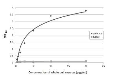 Sandwich ELISA: CA19-9/Sialyl Lewis A Antibody (GT8510) [NBP3-13652] - Sandwich ELISA detection of Colo 205 and Jurkat whole cell extracts using CA19-9/Sialyl Lewis A antibody [GT8510] (NBP3-13652) as capture antibody at concentration of 5 ug/mL and HRP-conjugated CA19-9/Sialyl Lewis A antibody [GT933] (NBP3-13650) as detection antibody at concentration of 1 ug/mL. Please notice that NBP3-13650 needs to be conjugated to HRP to function as the detection antibody when paired with NBP3-13652. Please contact us for custom HRP-conjugated antibody.