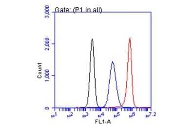 Flow Cytometry: CA19-9/Sialyl Lewis A Antibody (GT933) [NBP3-13650] - CA19-9/Sialyl Lewis A antibody [GT933] (NBP3-13650) detects CA19-9/Sialyl Lewis A by flow cytometry analysis. Sample: COLO 205 cell. Black: Unlabelled sample was used as a control. Red: CA19-9/Sialyl Lewis A antibody [GT933] (NBP3-13650) dilution: 1:50. Blue: Highly cited antibody [116-NS-19-9] dilution: 1:50. Acquisition of 20,000 events were collected for FACS analysis.