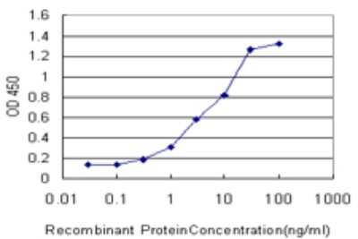 Sandwich ELISA: CACNA1I Antibody (3H5) [H00008911-M02] - Detection limit for recombinant GST tagged CACNA1I is approximately 0.3ng/ml as a capture antibody.