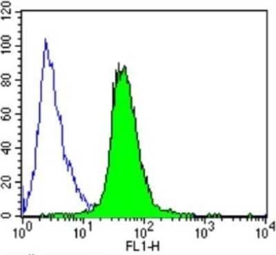 Flow Cytometry: CACNA2D1 Antibody (20A) [NB120-2864] - Analysis of SH-SY5Y cells compared to an isotype control (blue).