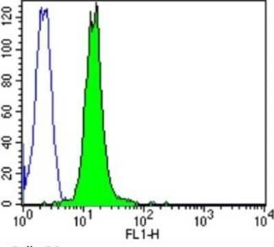 Flow Cytometry: CACNA2D1 Antibody (20A) [NB120-2864] - Analysis of C6 cells compared to an isotype control (blue).