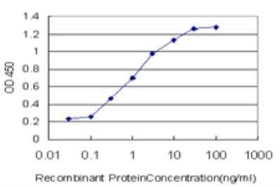 ELISA: CACNB2 Antibody (5B6) [H00000783-M03] - Detection limit for recombinant GST tagged CACNB2 is approximately 0.03ng/ml as a capture antibody.