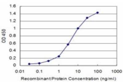 Sandwich ELISA: CACNB2 Antibody (5C10) [H00000783-M04] - Detection limit for recombinant GST tagged CACNB2 is approximately 0.3ng/ml as a capture antibody.