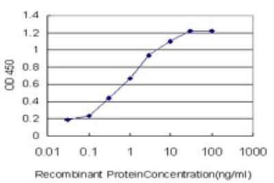 Sandwich ELISA: CACNB2 Antibody (6H6) [H00000783-M02] - Detection limit for recombinant GST tagged CACNB2 is approximately 0.03ng/ml as a capture antibody.