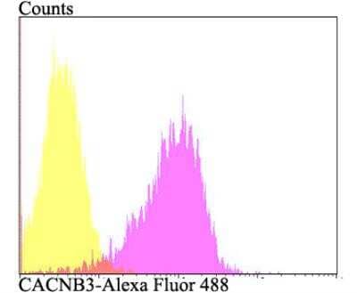 Flow Cytometry: CACNB3 Antibody [NBP2-76916] - Flow cytometric analysis of SKOV-3 cells with CACNB3 antibody at 1/100 dilution (fuchsia) compared with an unlabelled control (cells without incubation with primary antibody; yellow). Alexa Fluor 488-conjugated goat anti-rabbit IgG was used as the secondary antibody.