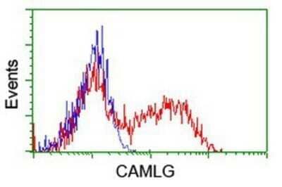 Flow Cytometry: CAMLG Antibody (OTI1A3) - Azide and BSA Free [NBP2-70331] - HEK293T cells transfected with either overexpression plasmid (Red) or empty vector control plasmid (Blue) were immunostaining by anti-CAMLG antibody, and then analyzed by flow cytometry.
