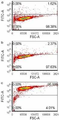 Flow Cytometry: CAP1 Antibody [H00010487-B01P] - Analysis of (a) negative control unstained, (b) negative control goat anti-mouse-FITC stained and (c) CAP1 polyclonal antibody stained methanol-treated human HeLa cells. (By courtesy of Dr. Eli Moallem)