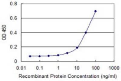 Sandwich ELISA: CAP2 Antibody (3G9-1A5) [H00010486-M01] - Detection limit for recombinant GST tagged CAP2 is approximately 10ng/ml as a capture antibody.