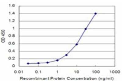 Sandwich ELISA: CARF/CDKN2AIP Antibody (1E10) [H00055602-M03] - Detection limit for recombinant GST tagged CARF is approximately 1ng/ml as a capture antibody.