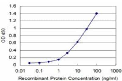 Sandwich ELISA: CARF/CDKN2AIP Antibody (2E6) [H00055602-M04] - Detection limit for recombinant GST tagged CARF is approximately 1ng/ml as a capture antibody.