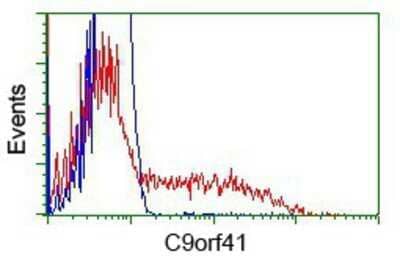 Flow Cytometry: CARNMT1 Antibody (OTI4B7) - Azide and BSA Free [NBP2-72398] - HEK293T cells transfected with either overexpression plasmid (Red) or empty vector control plasmid (Blue) were immunostaining by anti-C9orf41 antibody, and then analyzed by flow cytometry.