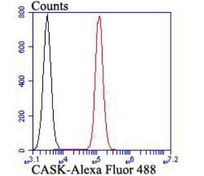 Flow Cytometry: CASK Antibody [NBP2-76922] - Flow cytometric analysis of HT-29 cells with CASK antibody at 1/100 dilution (red) compared with an unlabelled control (cells without incubation with primary antibody; black). Alexa Fluor 488-conjugated goat anti-rabbit IgG was used as the secondary antibody.