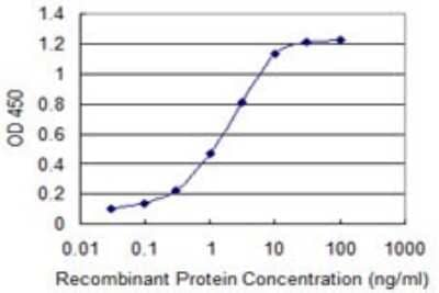 Sandwich ELISA CBF1-interacting corepressor Antibody (2E11)