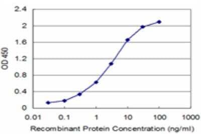 ELISA: CBS Antibody (5F7) [H00000875-M07] - Detection limit for recombinant GST tagged CBS is approximately 0.03ng/ml as a capture antibody.