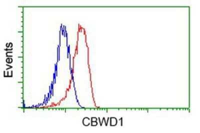 Flow Cytometry: CBWD1 Antibody (4D4) [NBP2-02931] - Analysis of Hela cells, using anti-CBWD1 antibody, (Red), compared to a nonspecific negative control antibody (Blue).