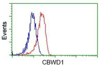 Flow Cytometry: CBWD1 Antibody (OTI4D4) - Azide and BSA Free [NBP2-72027] - Analysis of Hela cells, using anti-CBWD1 antibody, (Red), compared to a nonspecific negative control antibody (Blue).