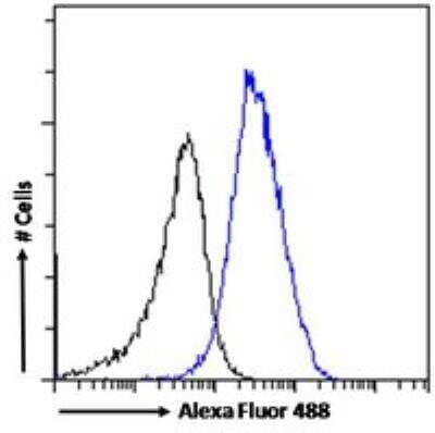 Flow Cytometry: CBX3 Antibody [NB100-2418] - Flow cytometric analysis of paraformaldehyde fixed HeLa cells (blue line), permeabilized with 0.5% Triton. Primary incubation 1hr (10ug/ml) followed by Alexa Fluor 488 secondary antibody (1ug/ml). IgG control: Unimmunized goat IgG (black line) followed by Alexa Fluor 488 secondary antibody.