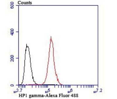Flow Cytometry: CBX3 Antibody (JU81-36) [NBP2-75432] - Analysis of Hela cells with HP1 gamma antibody at 1/100 dilution (red) compared with an unlabelled control (cells without incubation with primary antibody; black). Alexa Fluor® 488-conjugated goat anti-rabbit IgG was used as the secondary antibody.