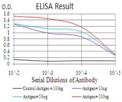 ELISA CBX6 Antibody (8D10A3) - BSA Free