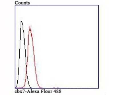 Flow Cytometry: CBX7 Antibody (JM44-63) [NBP2-75433] - Analysis of Hela cells with cbx7 antibody at 1/100 dilution (red) compared with an unlabelled control (cells without incubation with primary antibody; black).