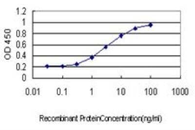 ELISA: CCL14/HCC-1/HCC-3 Antibody (1F12) [H00006358-M01] - Detection limit for recombinant GST tagged CCL14 is approximately 0.3ng/ml as a capture antibody.