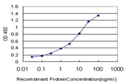 Sandwich ELISA: CCL15/MIP-1 delta Antibody (4G10) [H00006359-M02] - Detection limit for recombinant GST tagged CCL15 is approximately 0.1ng/ml as a capture antibody.