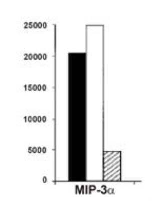 Blocking/Neutralizing: CCL20/MIP-3 alpha Antibody (206D9.05) [HRP] [DDX0420HRPO] - Blocking migration of CD1a & LC precursors using DDX0430.