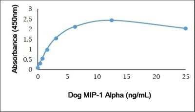 ELISA: CCL3/MIP-1 alpha Antibody [NBP3-11329] - Recombinant Dog CCL3/MIP-1 Alpha detected using Rabbit anti Dog CCL3/MIP-1 Alpha as the capture reagent and Rabbit anti Dog CCL3/MIP-1 Alpha:Biotin as the detection reagent followed by Streptavidin:HRP.