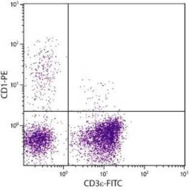 Flow Cytometry: CD1 Antibody (76-7-4) [NBP1-28221] - Analysis of peripheral blood lymphocytes by multiple staining.