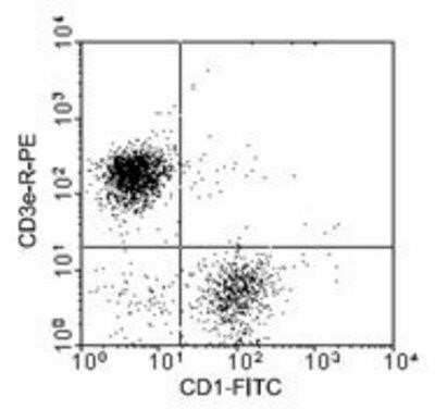 Flow Cytometry: CD1 Antibody (76-7-4) [NBP1-28221] - Analysis using the Biotin conjugate of NBP1-28221. 1 ug/10^6 Peripheral blood mononuclear cells were isolated from heparinized pig blood on Ficoll-Paque density gradients and incubated with mouse anti-pig CD1-BIOT and mouse anti-pig CD3 epsilon-R-PE Clone