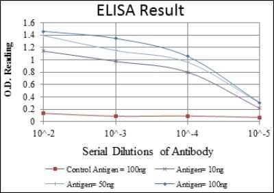 ELISA: Endoglin/CD105 Antibody (3A9) [NBP2-22122] - Red: Control Antigen (100 ng), Purple: Antigen (10 ng), Green: Antigen (50 ng), Blue: Antigen (100 ng).