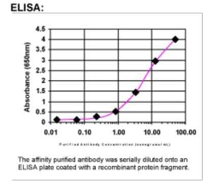 ELISA: CD117/c-kit Antibody [33690002]