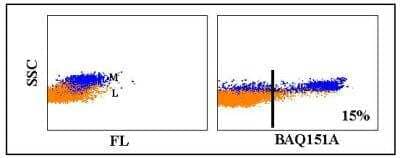 Flow Cytometry: CD11c Antibody (BAQ151A) [NBP2-60829] - Obtained with bovine leukocytes