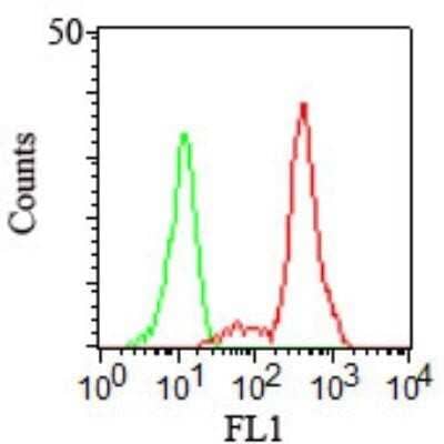 Flow Cytometry: CD11c Antibody (HC1/1) - Azide and BSA Free [NBP2-34629] - Surface staining of human PBMCs using CD11c antibody at 1 ug/10^6 cells. this antibody and FACS surface staining kit this antibody were used for this test.