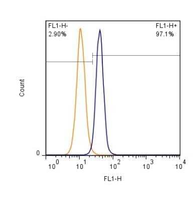 Flow (Intracellular): CD133 Antibody [NBP2-44248] - Fixed and permeabilized A431 cells were stained at a 1:1000 dilution with hCD133 and detected using a Gt x ms Dylight 488 secondary (blue) shown with secondary only control (orange).