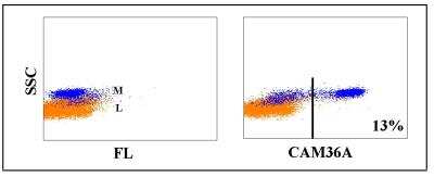 Flow Cytometry: CD14 Antibody (CAM36A) [NBP2-60832] - Obtained with bovine leukocytes