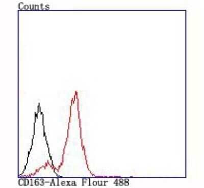 Flow Cytometry: CD163 Antibody (JA51-30) [NBP2-67224] - Analysis of THP-1 cells with CD163 antibody at 1/100 dilution (red) compared with an unlabelled control (cells without incubation with primary antibody; black).