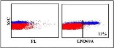 Flow Cytometry: CD163 Antibody (LND68A) [NBP2-60845] - Flow cytometric profile obtained with bovine leukocytes.
