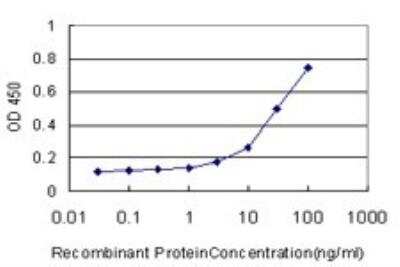 ELISA: CD177 Antibody (4C4) [H00057126-M01] - Detection limit for recombinant GST tagged CD177 is approximately 3ng/ml as a capture antibody.