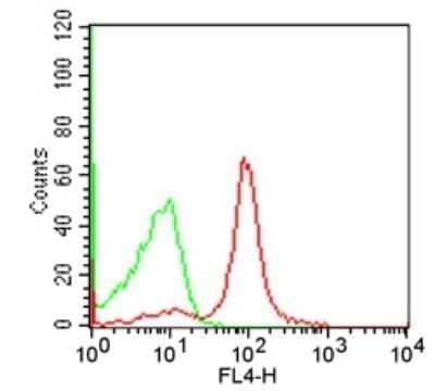 Flow (Cell Surface): CD19 Antibody (1D3) - Azide and BSA Free [NBP2-80633] - Analysis using the Allophycocyanin conjugate of NBP2-24965. Staining of CD19 in BALB/c mouse splenocytes using 1 ug of this antibody. Green represents isotype control; red represents anti-CD19 APC.